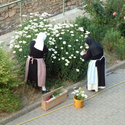 Hort del Monestir de Vallbona